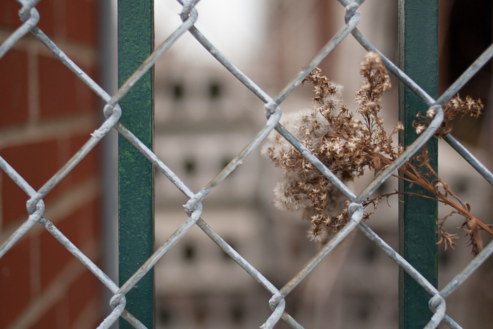 (untitled)